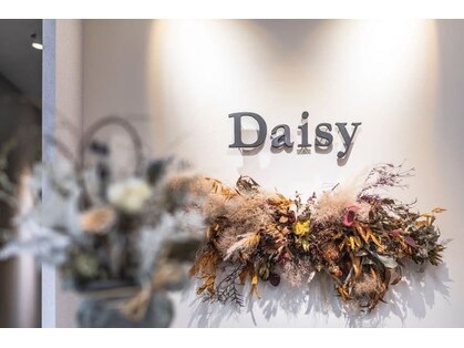 デイジー(Daisy)の写真