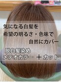 【髪質改善☆METEO】脱白髪染めメテオカラー#ココアブラウン