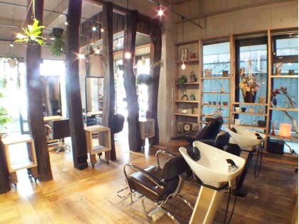 ソナー(SONAR)の写真