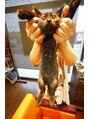 アンプ(Amp) 黒猫のネロです☆