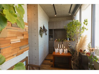 マイグラトリー(MIGRATORY)の写真