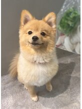 ロビィ ライカム店(LOBY) RYO ・