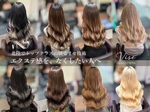 ビセ(VISE)