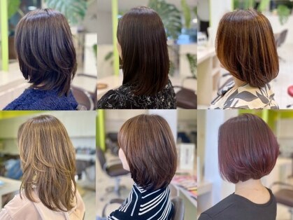 トライスター(TriStar)の写真