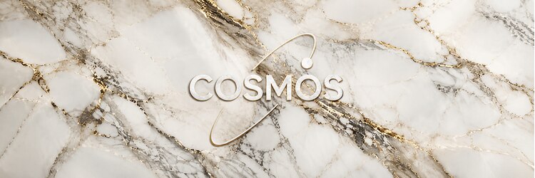 コスモス 町田(COSMOS)のサロンヘッダー