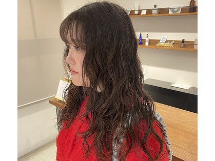ドレス(DRESS)の写真