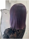 【末安】ブルーラベンダー