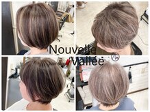 ヌーベルバレ(Nouvelle Vallee)