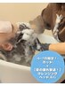 【6月7月限定!】カット+【梅雨のダルさ撃退!】クレンジングヘッドスパ