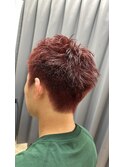 ブリーチ無しレッド【TELA HAIR大網】