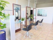 スプルース(spruce)の雰囲気（光が差し込む明るい店内）