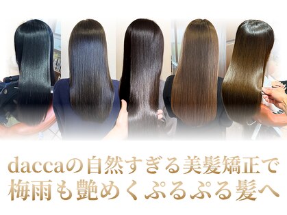 ダアッカ(da acca)の写真