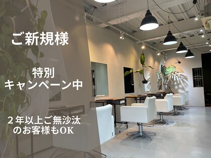 ガニッシュ(garrnish)の写真