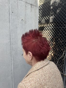 アース エレガンス 吉祥寺店(EARTH Elegance) 高発色レッド×美シルエットショート