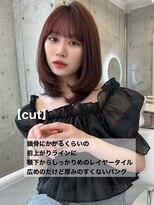 アイヴィー(IVY) ツヤ髪ピンクブラウン ワンカール レイヤー【肥田亜沙美】