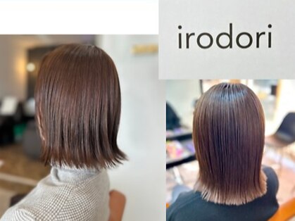 イロドリ(irodori)の写真
