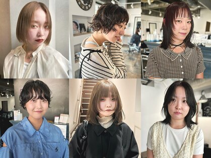 クイン(qin)の写真