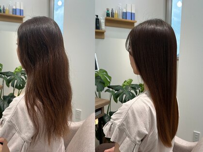 ルス 千葉船橋本店(Luz)の写真