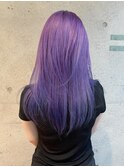 【kacho】パープルカラー