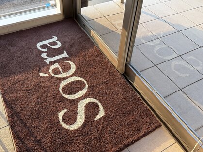 ソエラ(Soera)の写真