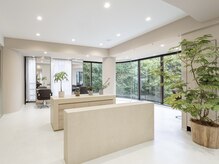 開放感ある大きな窓から差し込む光が心地いい店内で、ゆったりとおくつろぎ下さい。