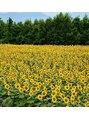 ラウム(LAUM) 夏はひまわり畑へ!お出かけが好きです☆