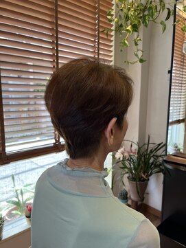 ヒノデ(Hinode) ショート