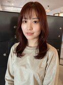 カット　ケアカラー　トリートメント
