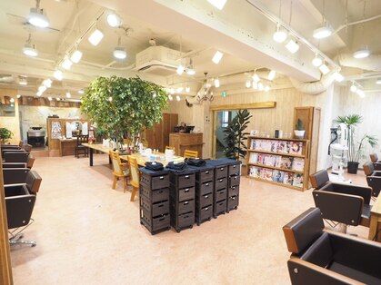 グランアージュ 柏西口店(grandage)の写真