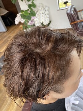 ポラッカ(Polacca) 2ブロック耳掛けショートに白髪ぼかしでチョコラブラウン