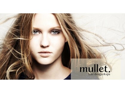 マレット(mullet.)の写真