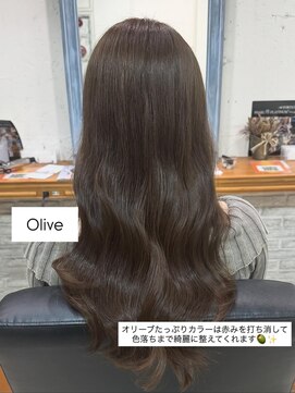 フォルテステラ(FORTE STELLA) 暗めカラー/オリーブカラー