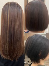 エリアントス(HELIANTHUS)