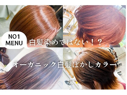 ミーム(meeme)の写真