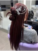 カチモリセット
