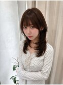大人ハッシュカット/バタフライレイヤー/外国人風/韓国風