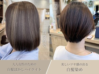 シオン(sion)の写真