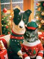 デコラ DECOR Instagram／lefilm69 →犬と猫を飼ってます