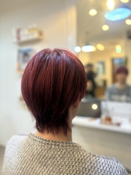 ヘアーフィールド(Hair Field) ダークレッド