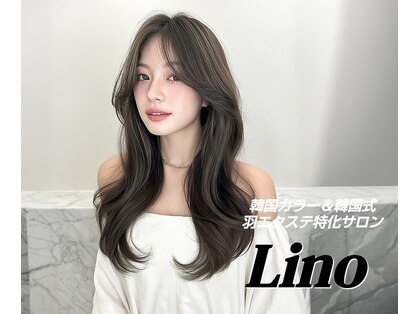 リノ(Lino)の写真