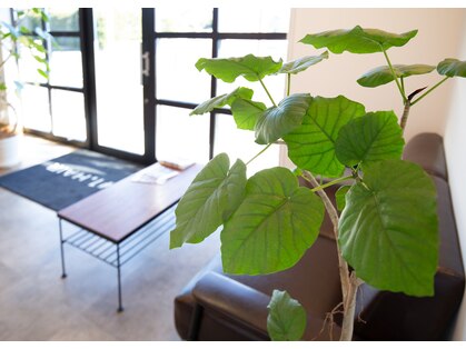 イチ ヘア(#1 hair)の写真