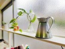 植物がや置かれているナチュラルな雰囲気の店内