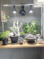 ソラス(SOLAS) お家で沢山の植物を育成しています！