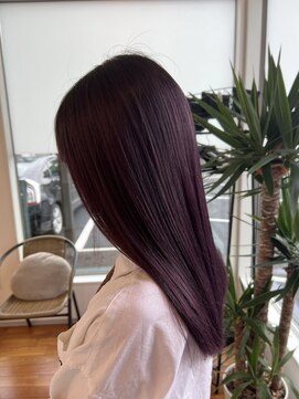 スキル 水戸(SKILL) バイオレットブラウン