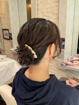 ヴィサージュプラス(VISAGE plus) シニヨンセット