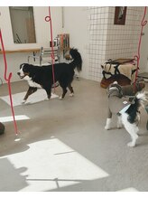 STAFF