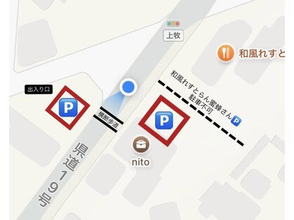 ニト(nito)の写真