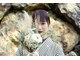ユーヘン(uhem)の写真