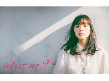 ベルベット ナンバーナイン(Velvet No 9)の写真