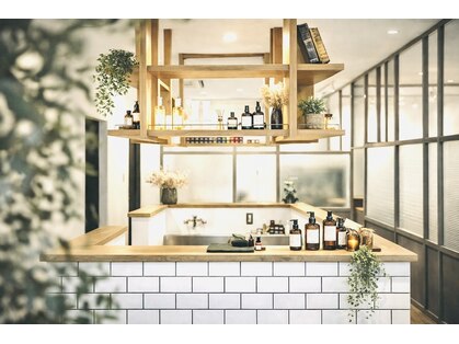 マニコ(manico)の写真